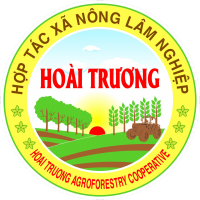HTX nông lâm nghiệp Hoài Trương