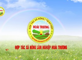 Sản phẩm và hoạt động của HTX NLN Hoài Trương